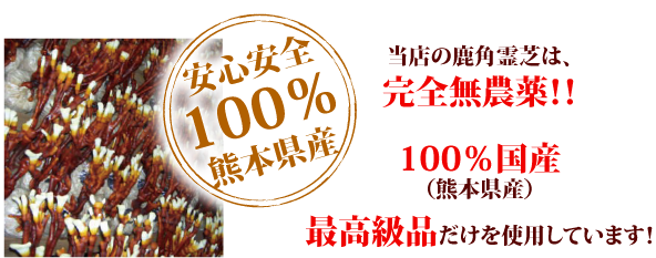 当店の鹿角霊芝は、完全無農薬！！100%国産（熊本県産）最高級品だけを使用しています！