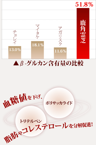 血糖値を下げ、脂肪やコレステロールを分解促進！