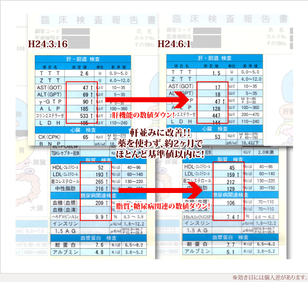 軒並みに改善！！薬を使わず、約２ヶ月でほとんど基準値内に※効き目には個人差があります。！